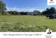 Gols | Baugrundstück in Top-Lage | 5.000 m²