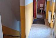 Reihenhaus mit Donaublick, großer Terrasse und in zentraler Lage! SEHR GÜNSTIG -FAST GESCHENKT