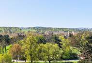 DG-Maisonette mit spektakulärem Fernblick über Schloss Schönbrunn &amp; Gloriette