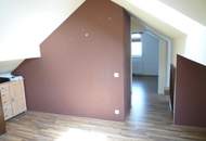 Gerneralsaniertes Anlegerhaus mit 2 Wohnungen oder Familienhaus!
