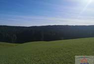 Verkaufe landwirtschaftliches Grundstück und Baugrund im Raum Mondsee!