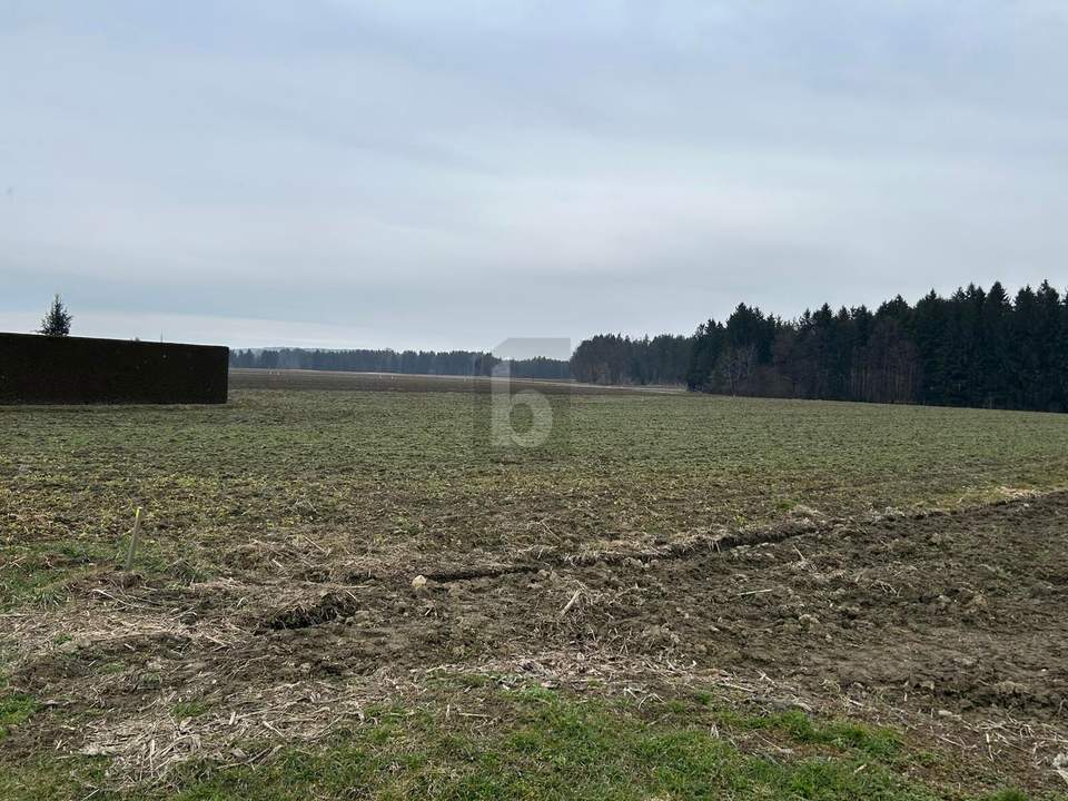3 SEPARATE BAUGRUNDSTÜCKE IN RUHIGER LAGE