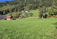 Idyllischer Baugrund am Sonnenplateau des Millstätter Sees