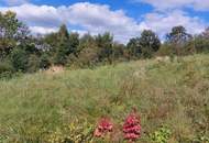 Großzügiges Baugrundstück in Natternbach