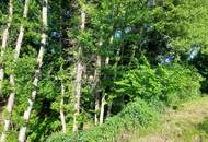 Idyllisches Landhaus mit Stallungen und eigenem Bachlauf