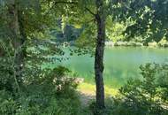 Gartenwohnung an der Traun zu mieten - Naturnahes Wohnen in Gmunden