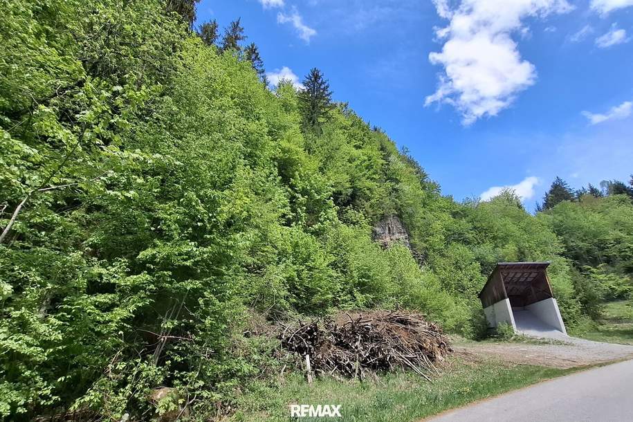 Großes Waldgrundstück bei Kirchberg an der Pielach, Grund und Boden-kauf, 29.000,€, 3204 Sankt Pölten(Land)