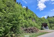 Großes Waldgrundstück bei Kirchberg an der Pielach