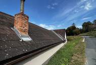 Ruhe, Sonne, Leben!
