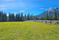 Naturnah investieren: Landwirtschafts- und Waldfläche!