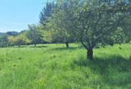 „Ihr Logenplatz in Wildon – Baugrundstück mit Aussicht, Sonne &amp; Privatsphäre“