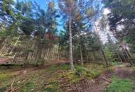 Wald zu verkaufen – 2 gepflegte Parzellen à ca. 4 ha (insgesamt ca. 8,3 ha) im südlichen Waldviertel