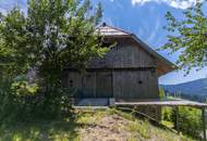 Historisches Almhaus mit unvergleichlichem Bergpanorama