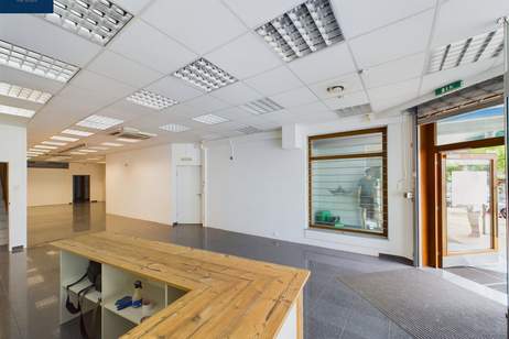 MIETE - Einzelhandel, Büro od. Praxis - TOP 2 - CITY LAGE - Feldkirchen in der WÖRTHERSEE REGION, Gewerbeobjekt-miete, 1.343,54,€, 9560 Feldkirchen