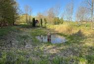 Naturidyll im SÜDBURGENLAND – Teichanlage mit großem Potenzial