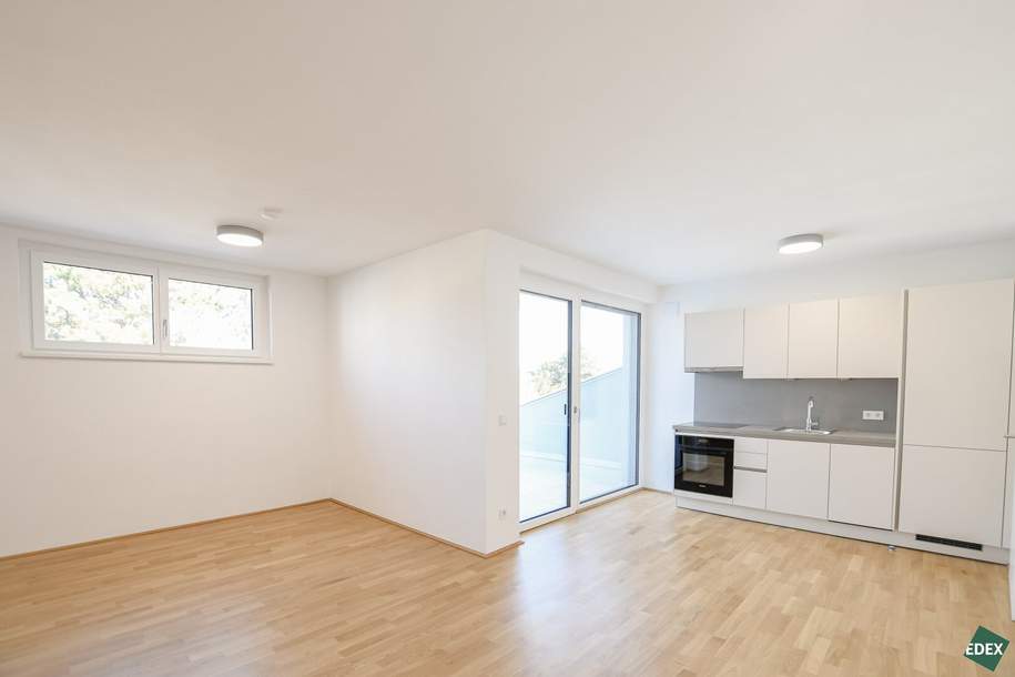 Erstbezug mit Terrasse: Schöner 1,5-Zimmer-Neubau in 1190 Wien, Wohnung-miete, 1.299,00,€, 1190 Wien 19., Döbling