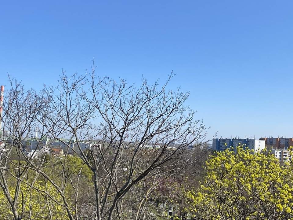 =DAS LAURENZ= ERSTBEZUG Top Anlage Dachwohnung U3 2 Zimmer + Terrasse - 1 bedroom apartment+terrace