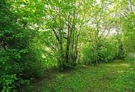 Grünruhelage: Baugrund mit Abbruchhaus zwischen Hanusch KH und Flötzersteig