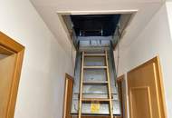 Helles Einfamilienhaus mit großem Grundstück.