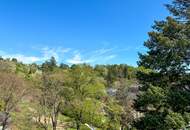 Fantastisches Einfamilienhaus mit Indoorpool und Sauna in Döblinger Villengegend