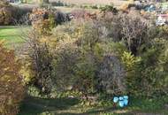"Jahrhundertwende Stilhaus mit Wald"