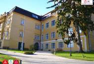 **Neuer Preis** Attraktives Reihenhaus an der Grenze Rodaun/Perchtoldsdorf