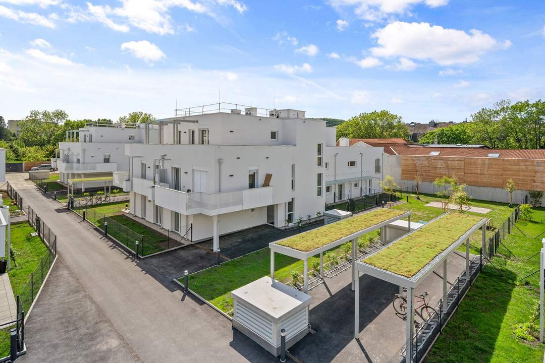 THE VINEYARD. 4 Zimmer Familienwohnung mit Terrasse &amp; Garten.