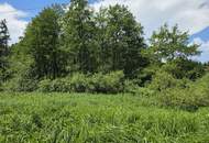 Waldgrundstück
