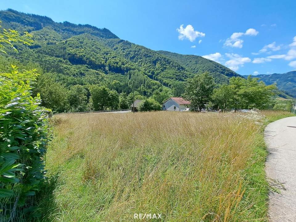 1.397 m² Baugrund ohne Bauzwang - Reichraming / Ennstal, Nationalpark Kalkalpen