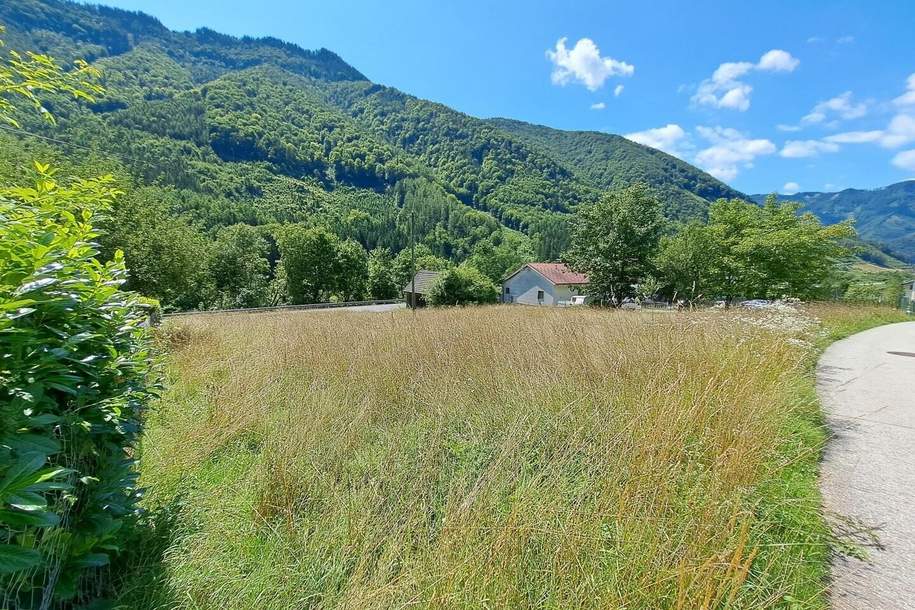 1.397 m² Baugrund ohne Bauzwang - Reichraming / Ennstal, Nationalpark Kalkalpen, Grund und Boden-kauf, 99.999,€, 4462 Steyr-Land