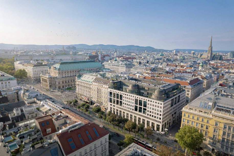 Gut aufgeteilte Bürofläche im Kärntnerringhof zu mieten, Gewerbeobjekt-miete, 5.014,76,€, 1010 Wien 1., Innere Stadt