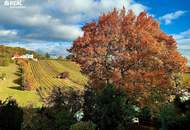Exklusive Villa in den Weinbergen - traumhafter Ausblick