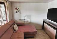 TINYHOUSE MIT ATEMBERAUBENDEM SEEBLICK