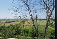 HERRLICHER AUSBLICK AN DER WAGRAMKANTE: MODERN, MASSIV & HOCHWERTIG WOHNEN IN DER WEINREGION MIT BESTER INFRASTRUKTUR