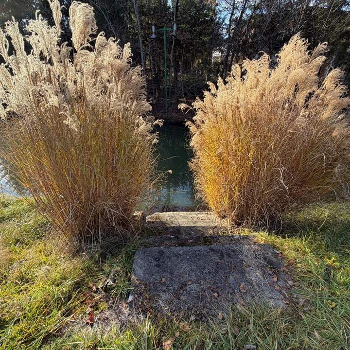 Einzigartiges Baugrundstück mit großem Schwimmteich in Graz