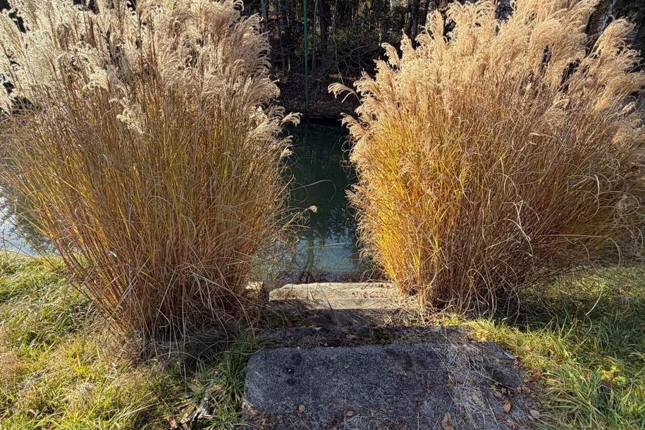 Einzigartiges Baugrundstück mit großem Schwimmteich in Graz, Grund und Boden-kauf, 340.000,€, 8044 Graz(Stadt)