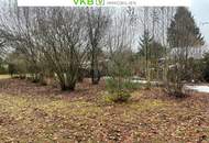 Attraktive Bauparzelle in Spattendorf! – Gemeinde Alberndorf in der Riedmark (GST 2438/2, 2437/3)