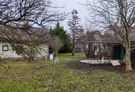 Ein Grundstück, auf dem Träume wachsen