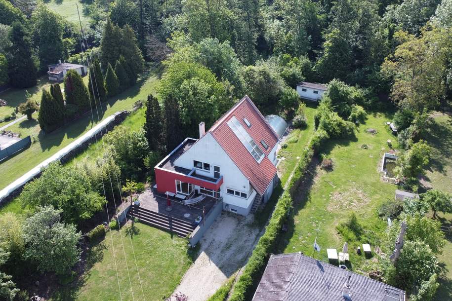 Traumhaus mit Pool, SPA & 2.300m² Grund (Provisionsfrei), Haus-kauf, 600.000,€, 2013 Hollabrunn