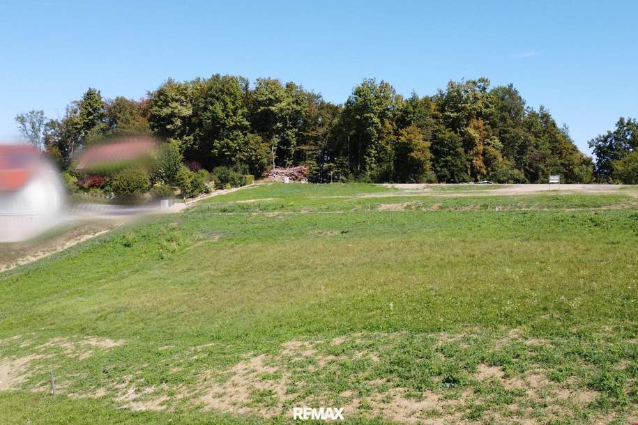 Sonniges Grundstück in Grubtal, Grund und Boden-kauf, 150.000,€, 8462 Leibnitz