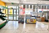 Großzügiges Geschäftslokal in Kritzendorf – 390m², Parkplätze &amp; Stadtblick!