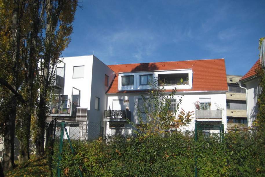 Sonnige Mietwohnung in Weiz - Nähe Lieb Markt, Wohnung-miete, 775,02,€, 8160 Weiz