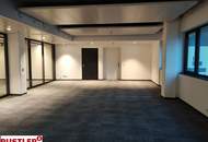 Das myhive Urban Garden Bürokonzept – Ein "Detox-Programm" für den Arbeitsalltag