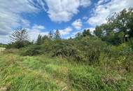 Kleinsitzendorf: Baugrund voller Möglichkeiten – Traumplatz, Traumidee, Traum wird wahr!