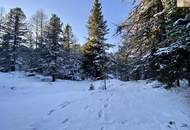 ZWEITWOHNSITZTAUGLICH! Grundstück in idyllischer Lage auf der Turracher Höhe
