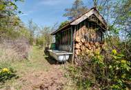 Wohnen im Grünen: Einfamilienhaus mit eigenem Wald &amp; viel Platz