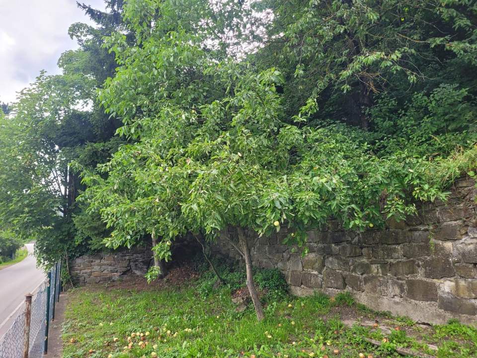 "1,2,3 - der Herbst ist bald vorbei!"