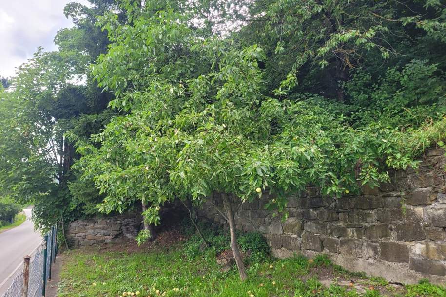 "1,2,3 - der Herbst ist bald vorbei!", Grund und Boden-kauf, 149.000,€, 3160 Lilienfeld