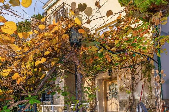 Unverbaubaure Sonnenhanglage: Erwecken Sie diese 60er-Jahre Villa zu neuem Leben, Haus-kauf, 1.812.000,€, 1190 Wien 19., Döbling