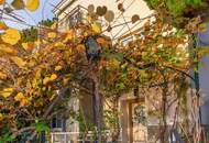 Unverbaubaure Sonnenhanglage: Erwecken Sie diese 60er-Jahre Villa zu neuem Leben